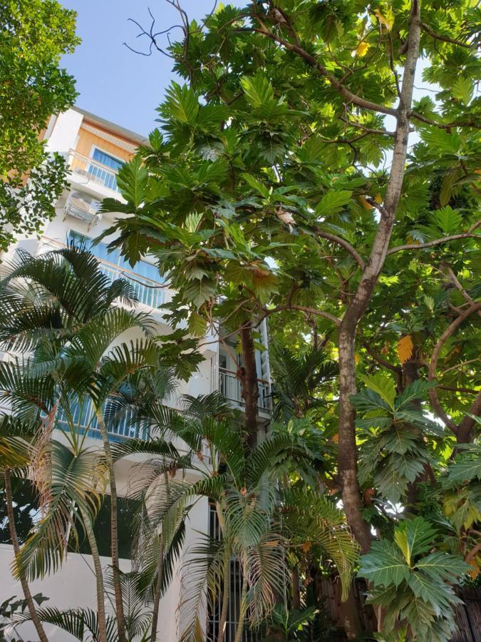 Hostel Breadfruit Chiang Mai Exterior foto